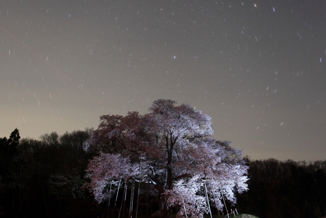 最優秀賞「越代の桜と星空」入部守弘