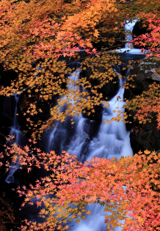 最優秀賞「秋の塩沢の滝」入部守弘