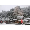 入賞「雪の八幡神社」遠藤玲子