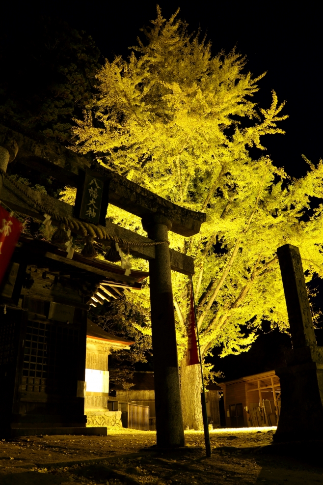 福島民報社賞「八幡神社のイチョウ」佐川孝弘