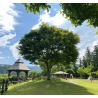 展望東屋