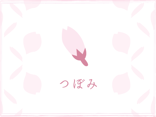 つぼみ