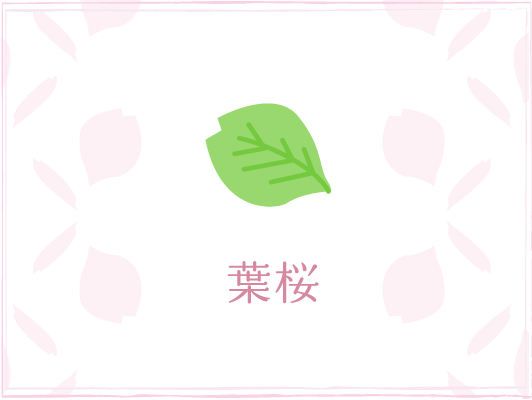 葉桜