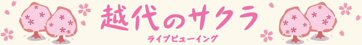 越代のサクラライブビューイング